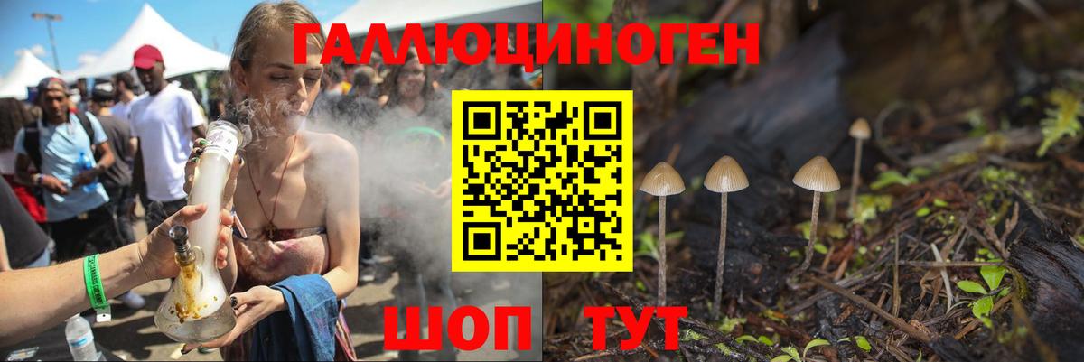 Дмитров  Галлюциногенные грибы GOLDEN TEACHER  Галлюциногенные грибы GOLDEN TEACHER  Вход с VPN 